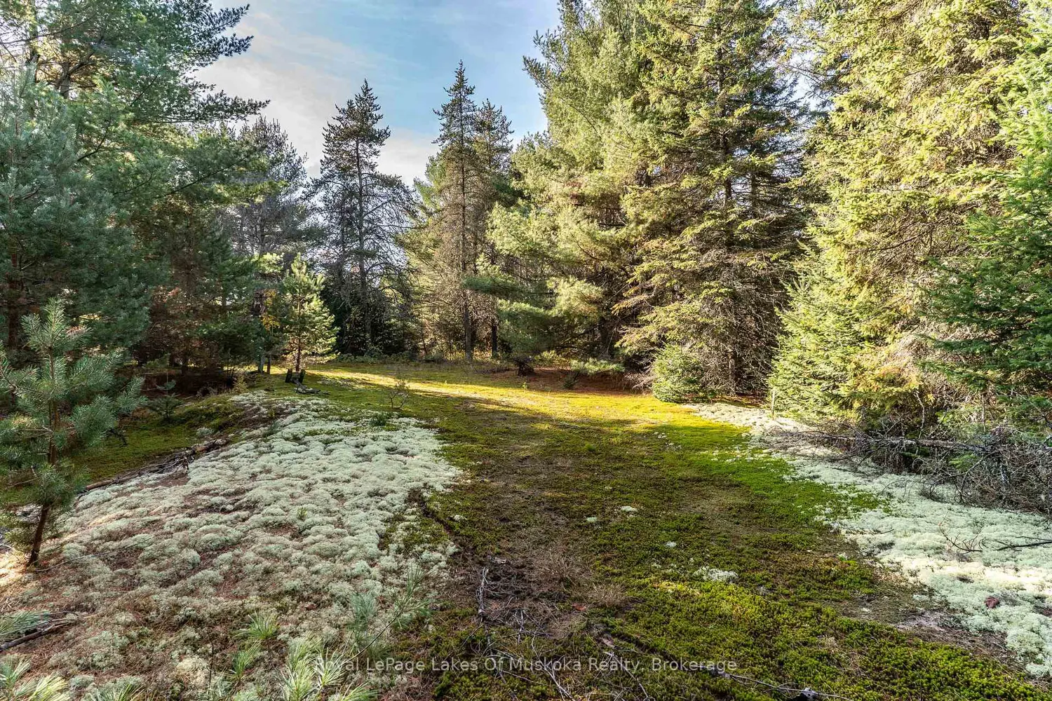 Additional image 16 of 267 & 321 Cardwell Lake Road