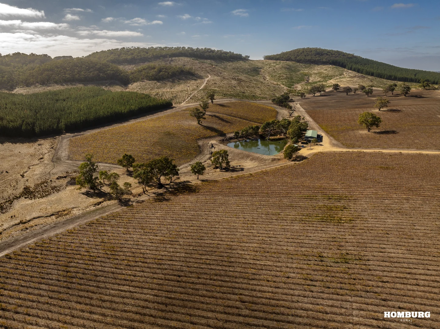 Additional image 8 of 453 Springton Road, Pewsey Vale SA 5351