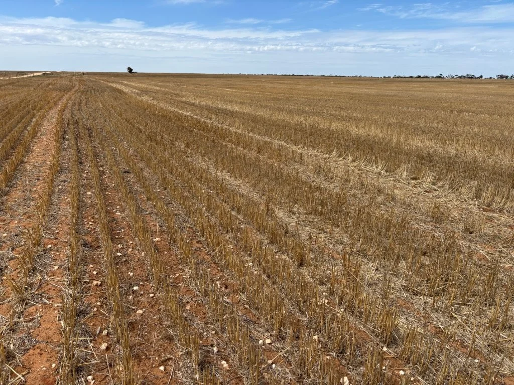 Additional image 23 of 9723 Tod Highway, Lock SA 5633