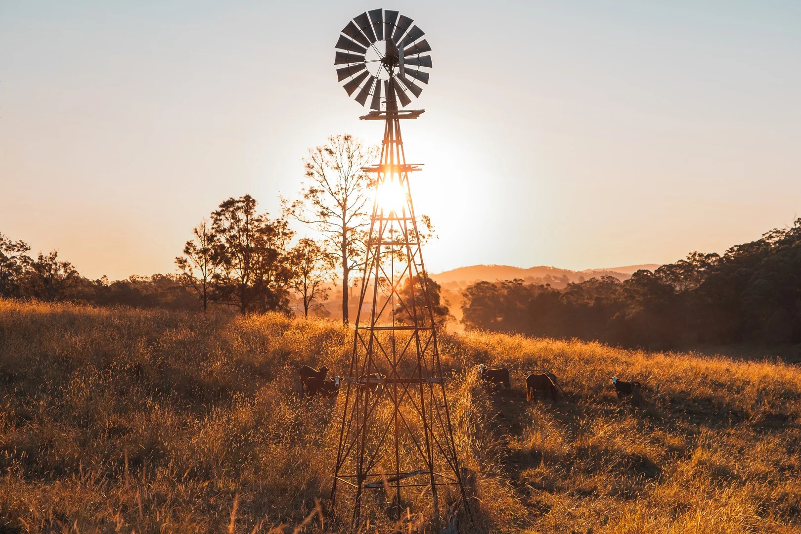 Additional image 17 of 180 Runnymede Road, Kyogle NSW 2474