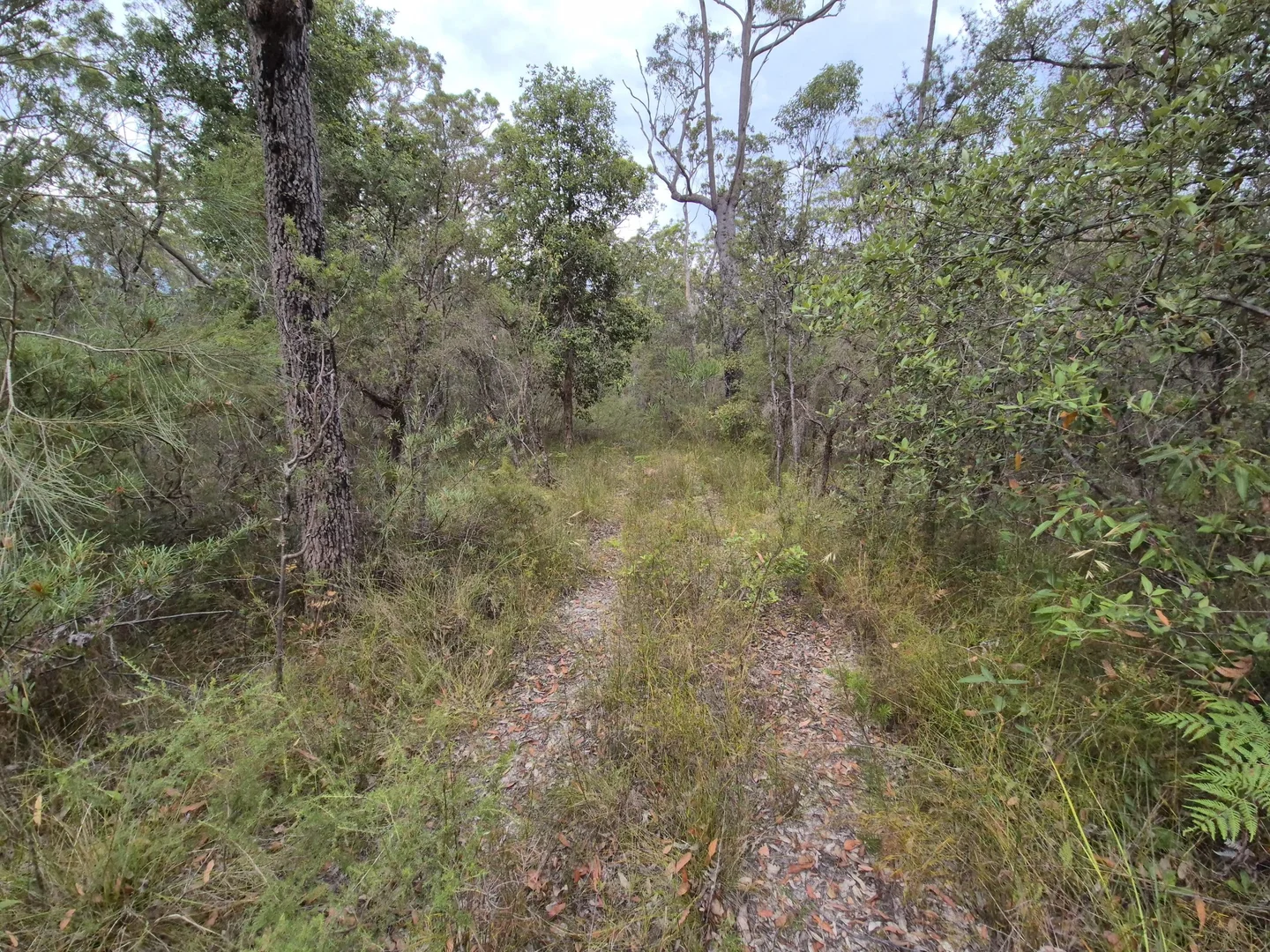 Additional image 5 of 555 Atherton Street, Basin View NSW 2540