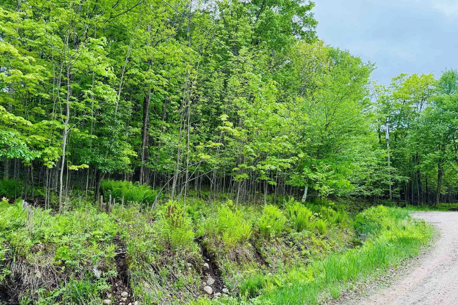 23 Maple Ridge Road photo 2