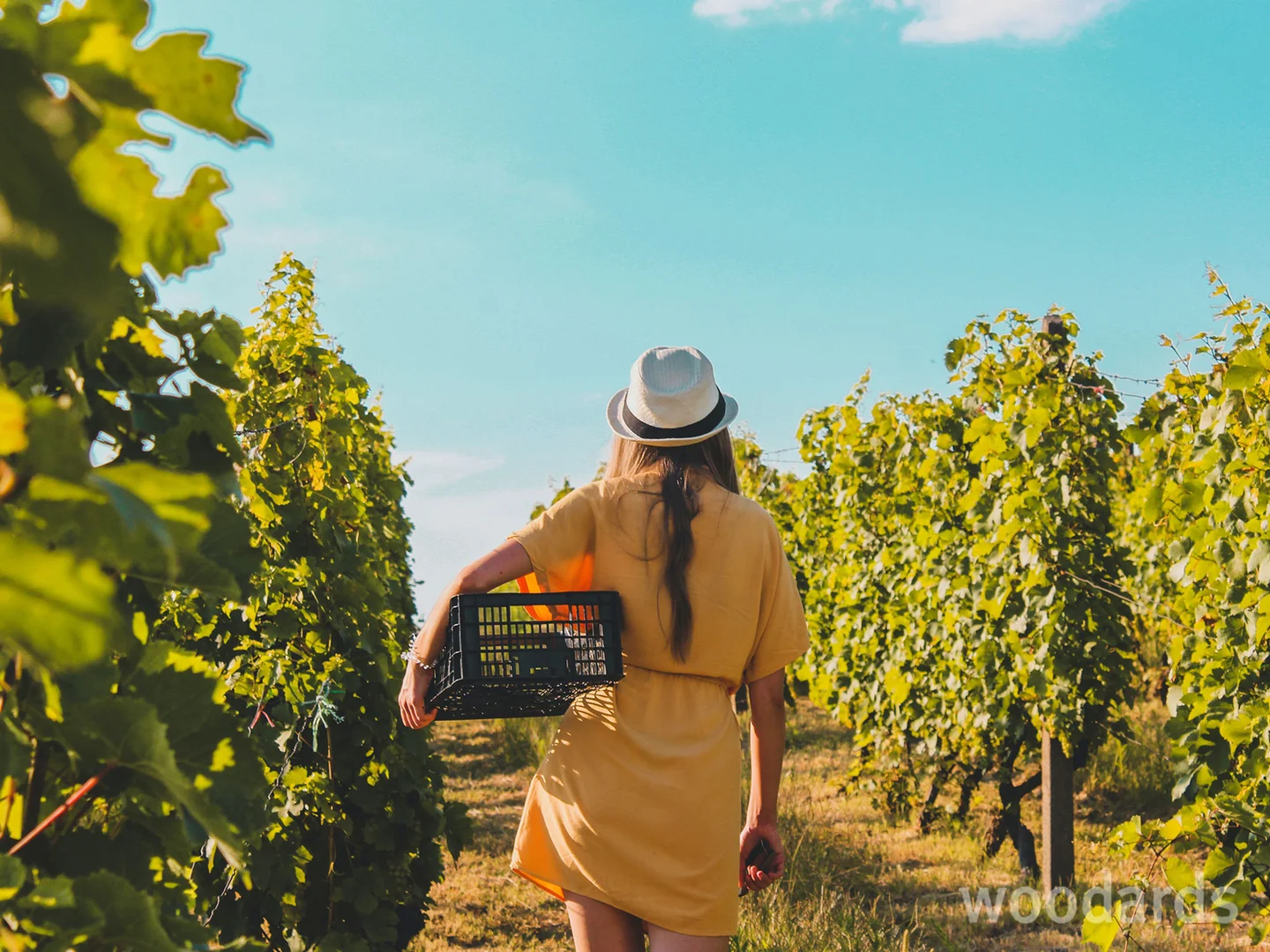 Additional image 8 of 430 Horseshoe Bend Road, Armstrong Creek VIC 3217