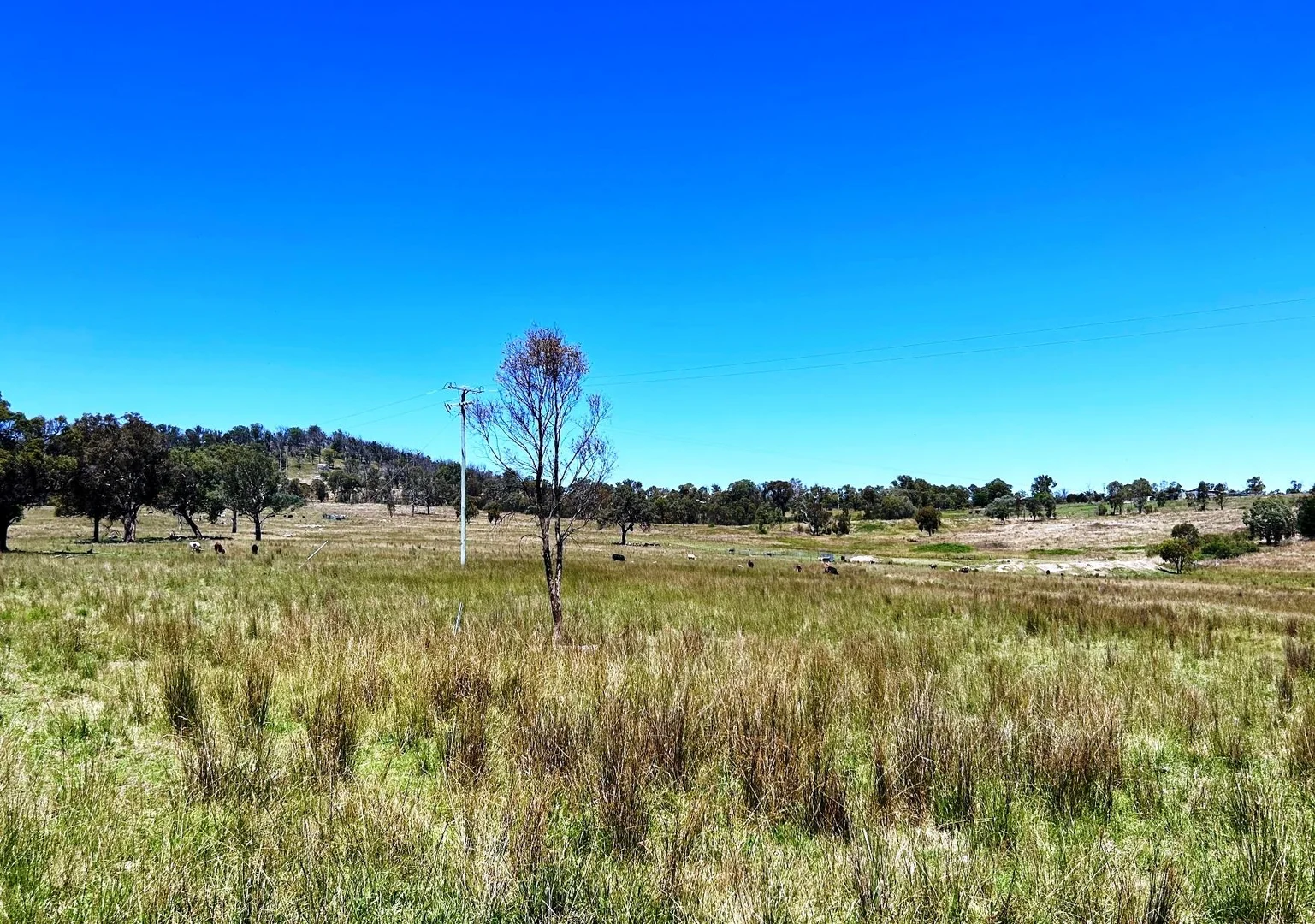 Additional image 3 of Lot 322 Jenkyn Lane, Uralla NSW 2358