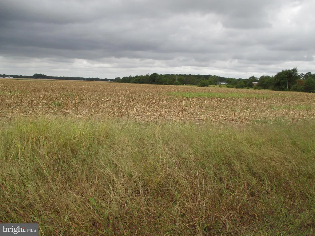 Additional image 4 of Lot 6 Gray Road St, Dagsboro, DE 19939