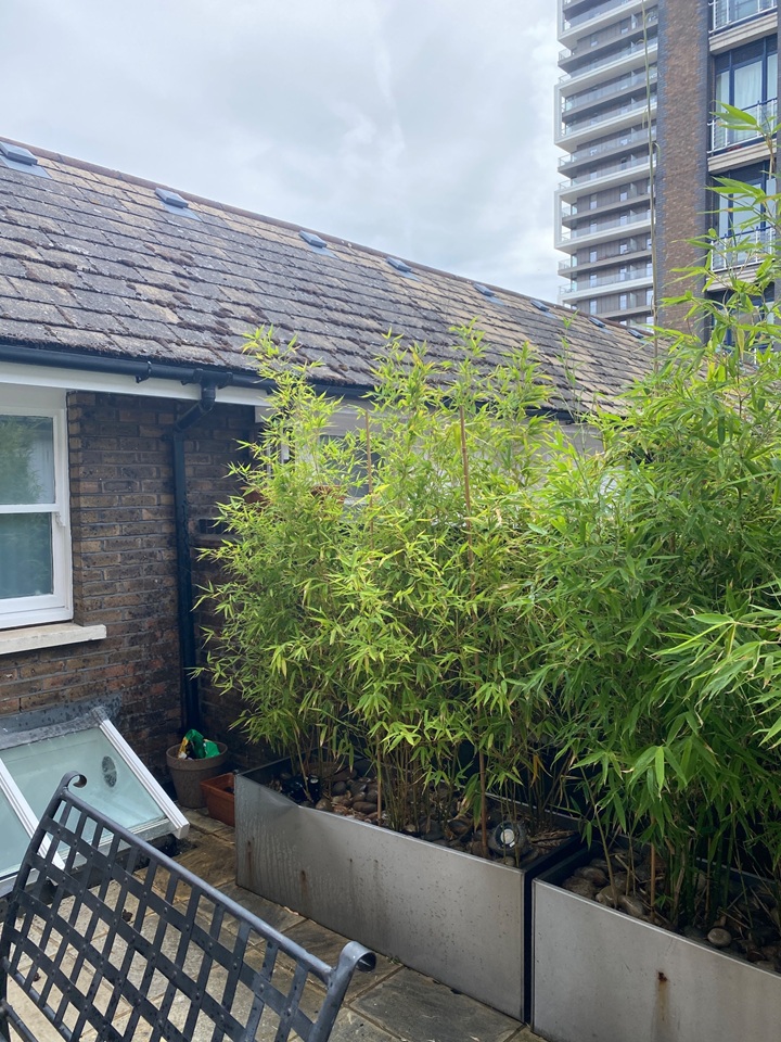 Additional image 13 of 4 Bed Terraced House, Coral Row, SW11, N1 7GU