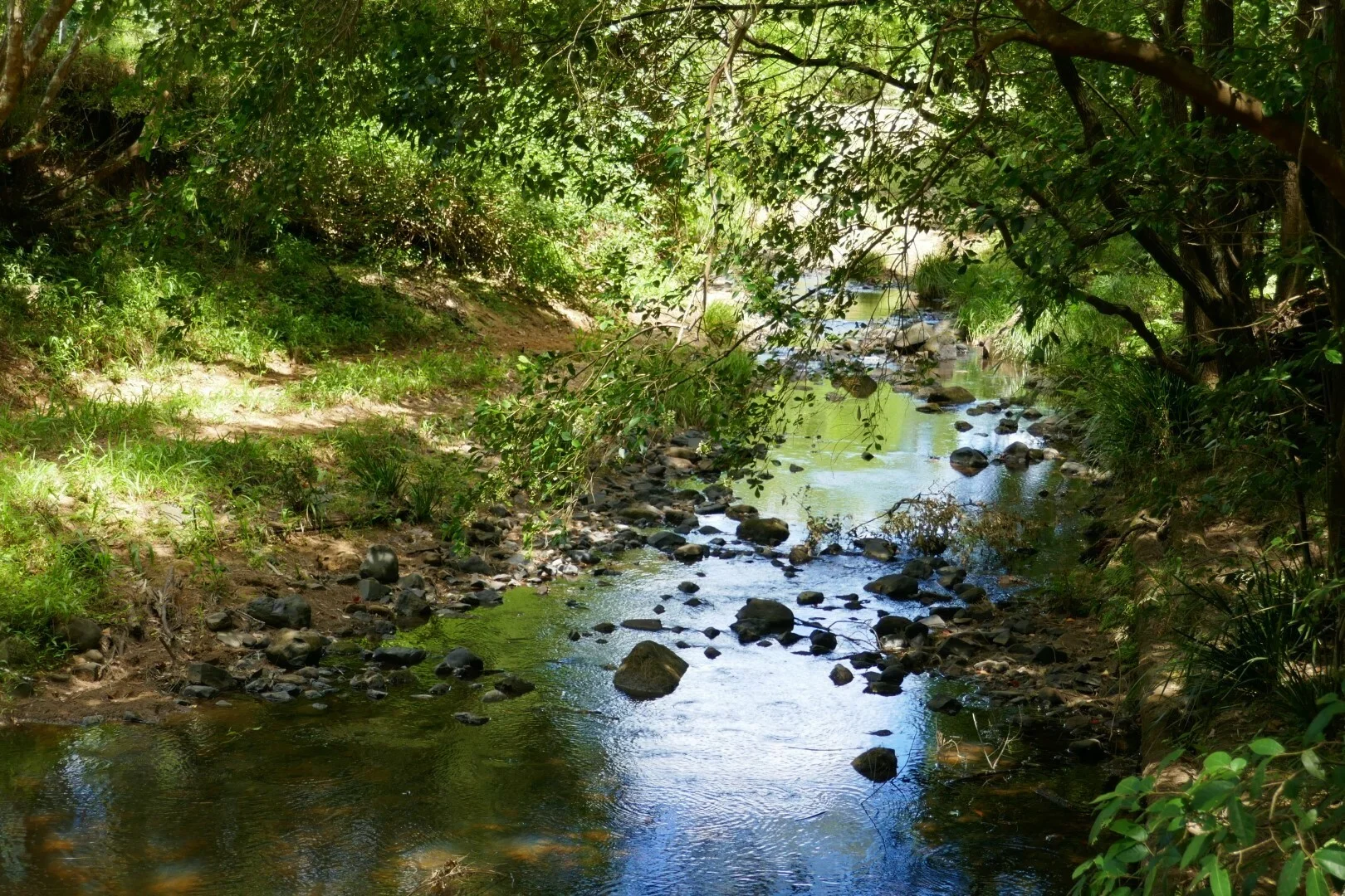 Additional image 2 of 1810 Afterlee Rd, Kyogle NSW 2474