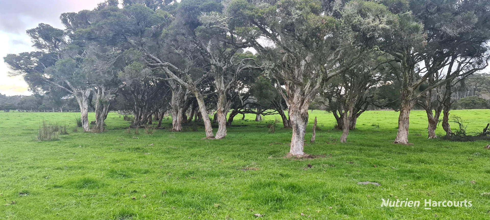 Additional image 11 of 526 Board Road, Kordabup WA 6333