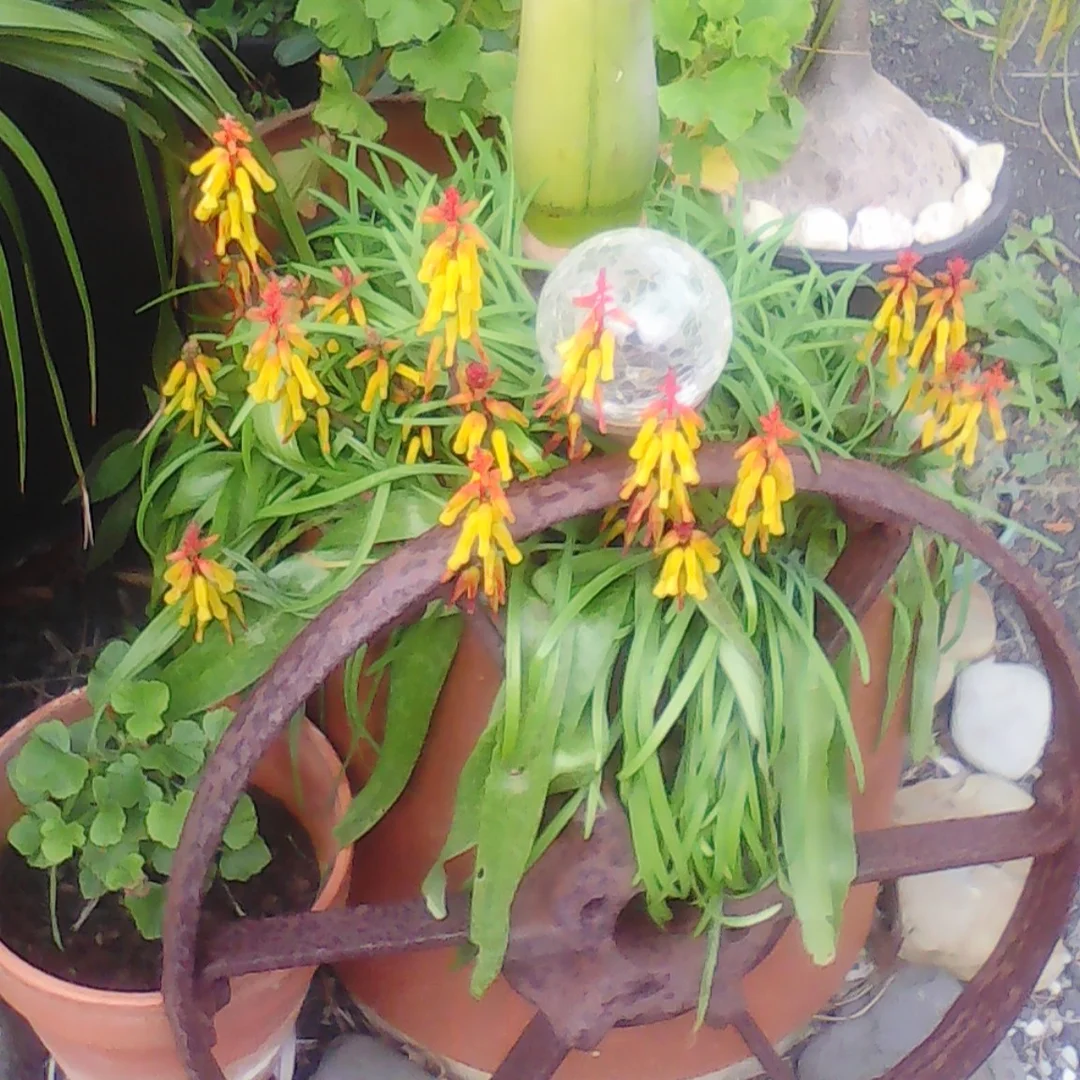 Additional image 10 of 18 Wonthaggi Crescent, San Remo VIC 3925