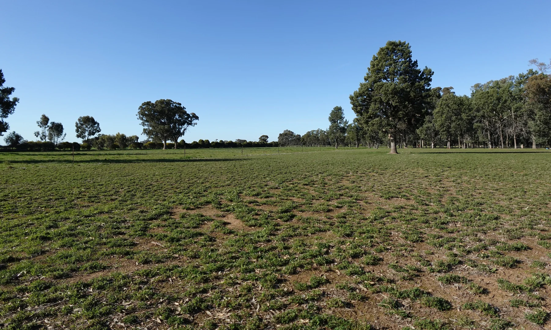 Additional image 17 of 140 Waggarandall Road, Yundool VIC 3727