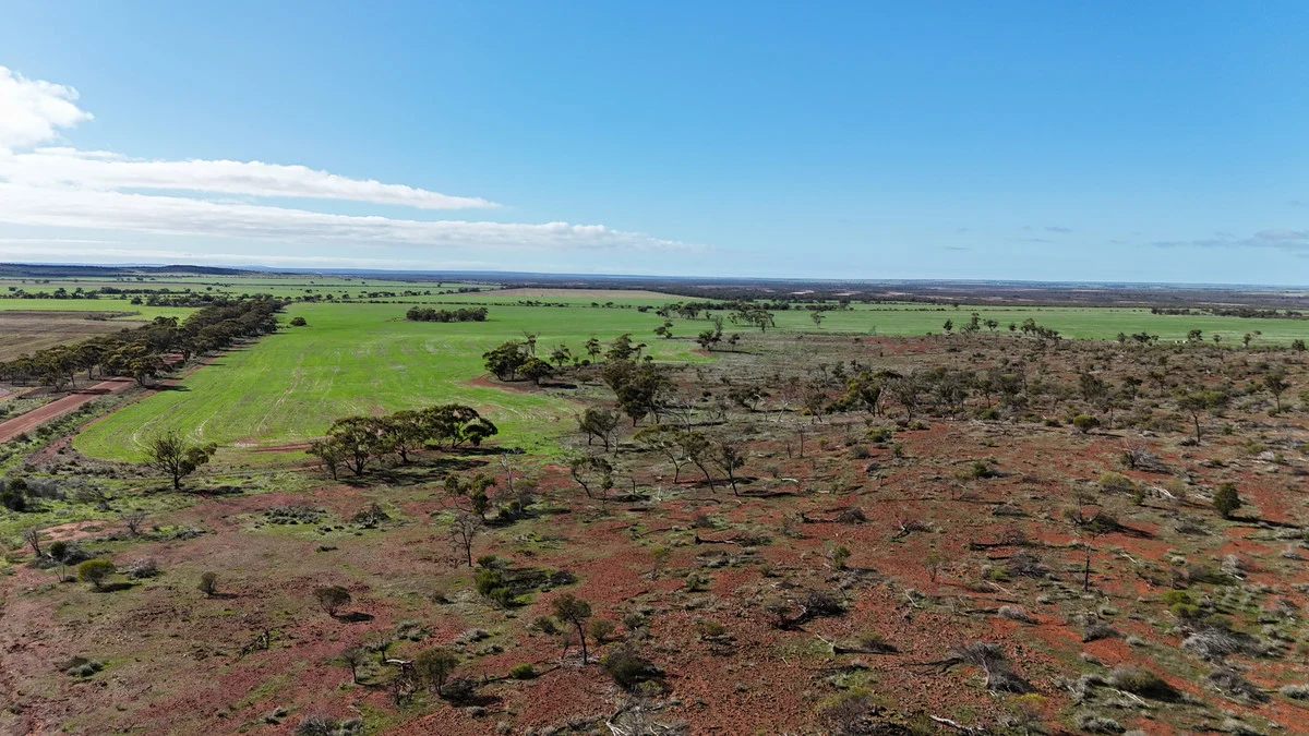 Additional image 11 of 697 Solomon Road, Perenjori WA 6620