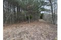 Additional image 29 of Old Bradley Rd, Mardela Springs, MD, 21837