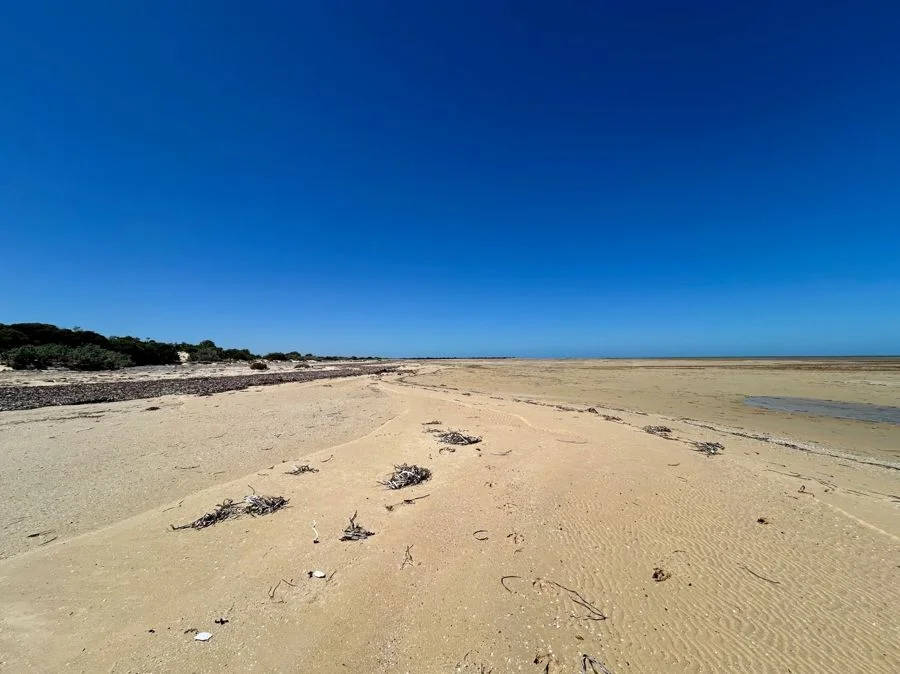 Additional image 4 of Section 6 Old Telegraph Road, Midgee SA 5602