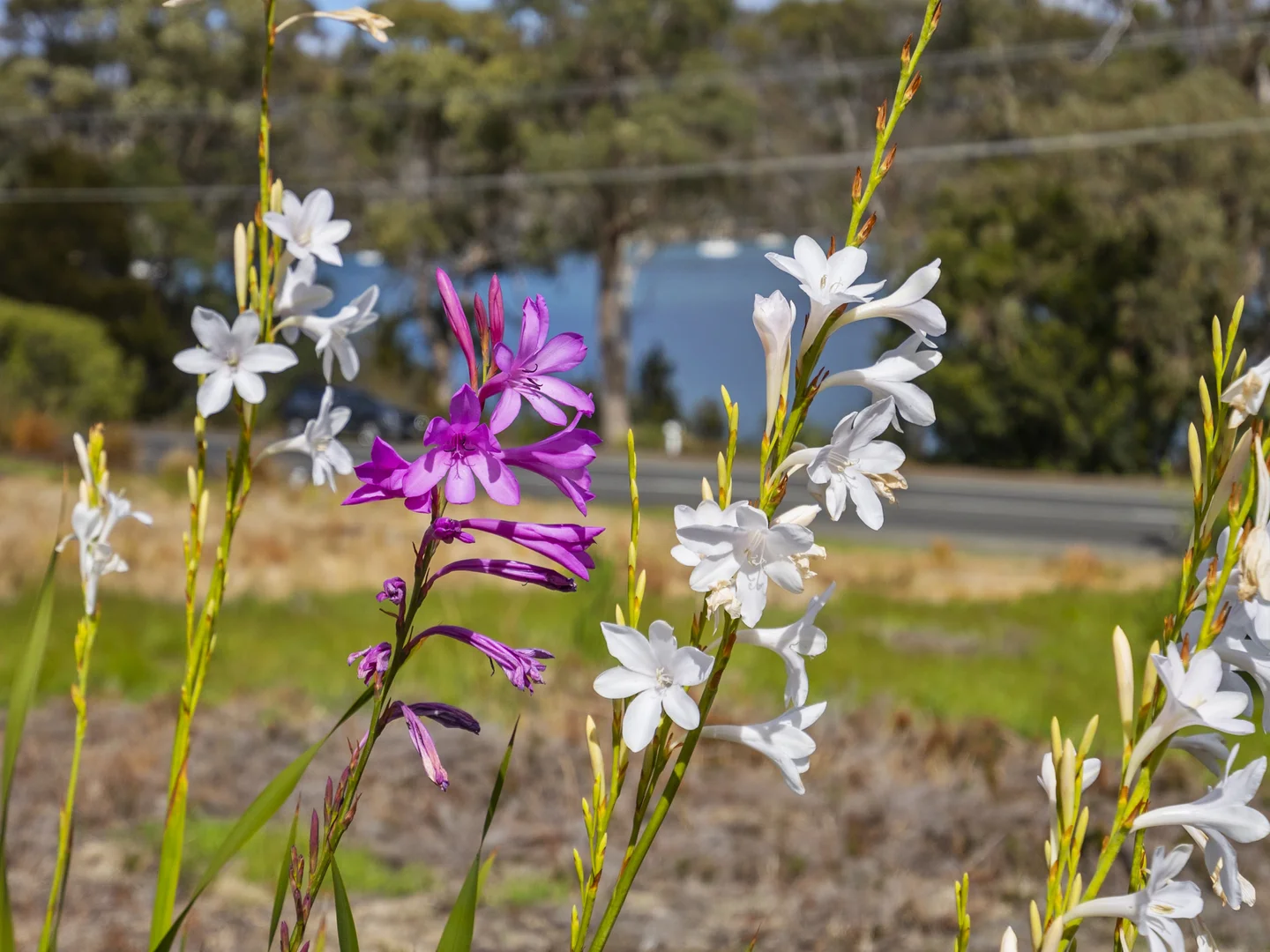 Additional image 15 of 5821 Arthur Highway, Taranna TAS 7180
