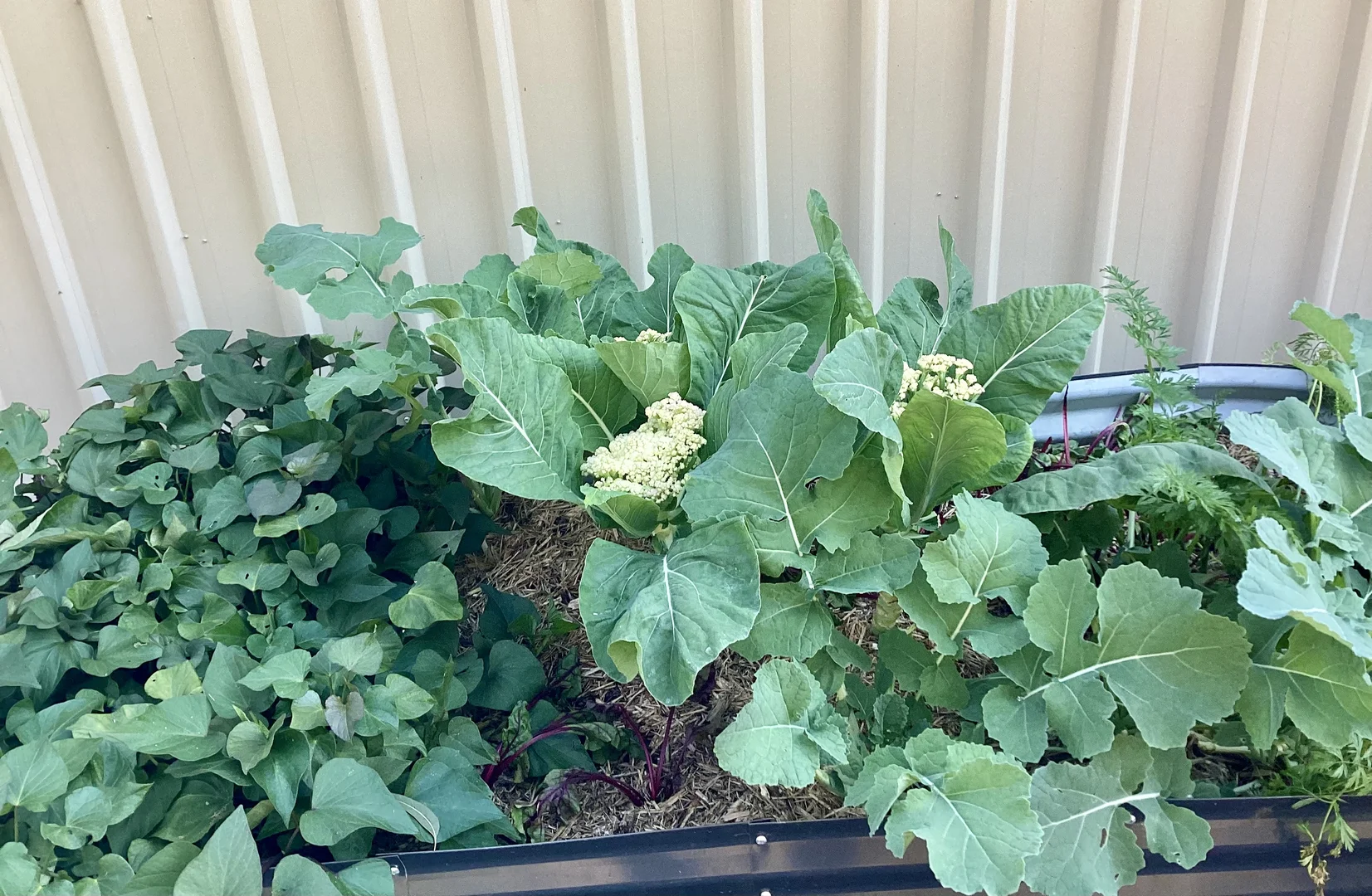 Additional image 24 of 32-34 White Place, Kooralbyn QLD 4285