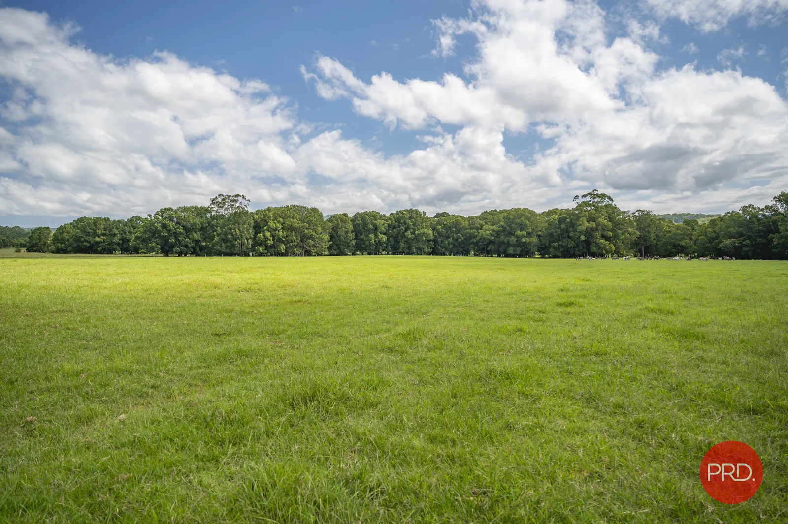 Additional image 25 of 441 Eastbank Road, Coramba NSW 2450