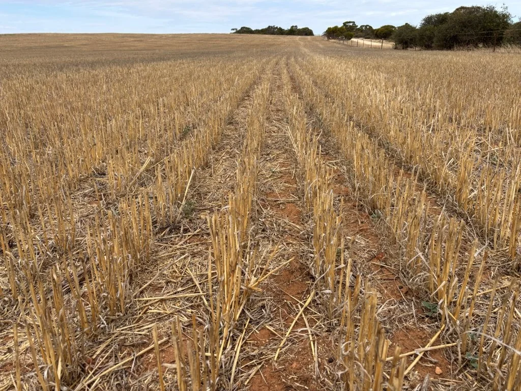 Additional image 8 of 9723 Tod Highway, Lock SA 5633