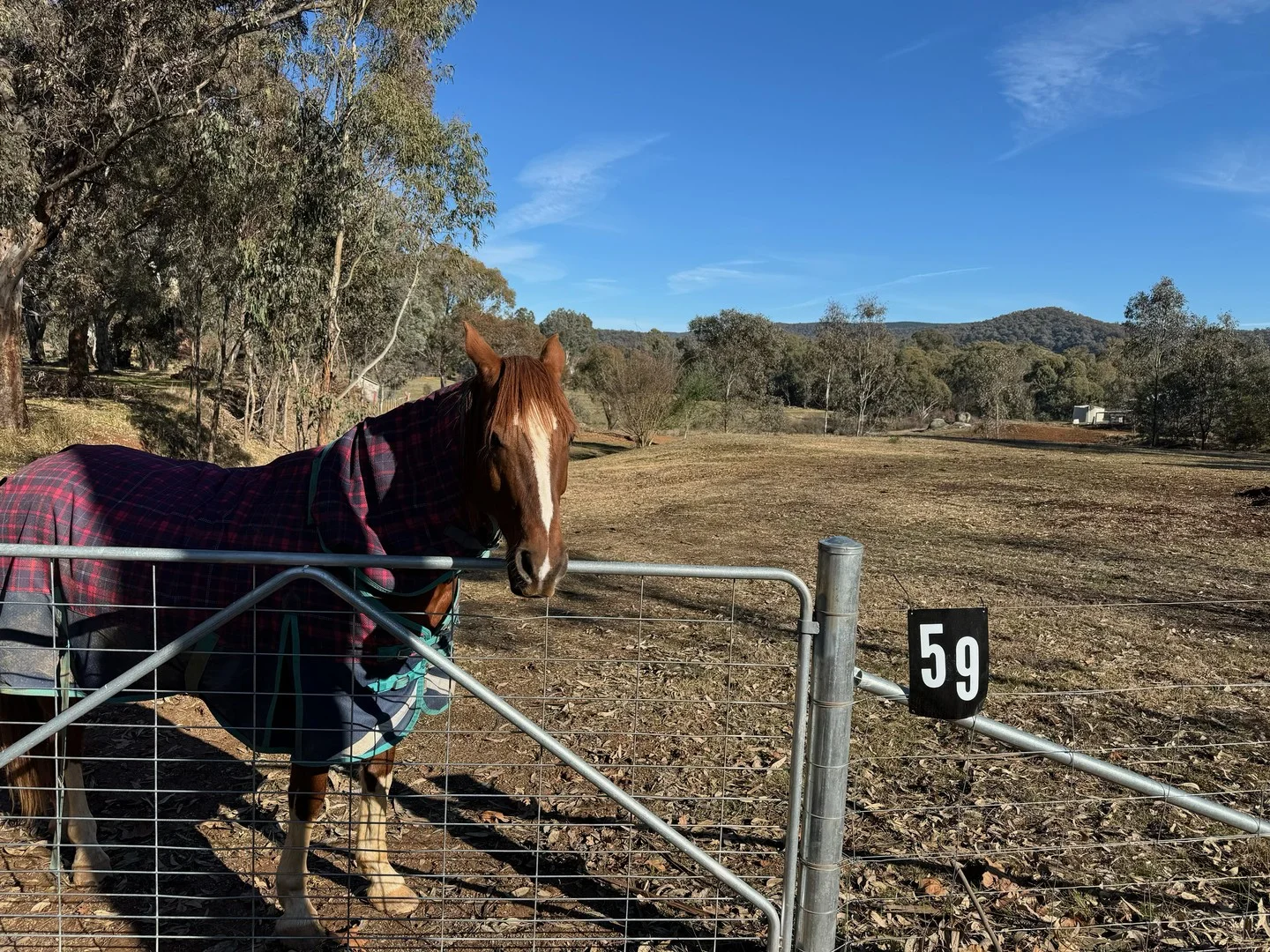 59 Keeble Way, Yackandandah VIC 3749