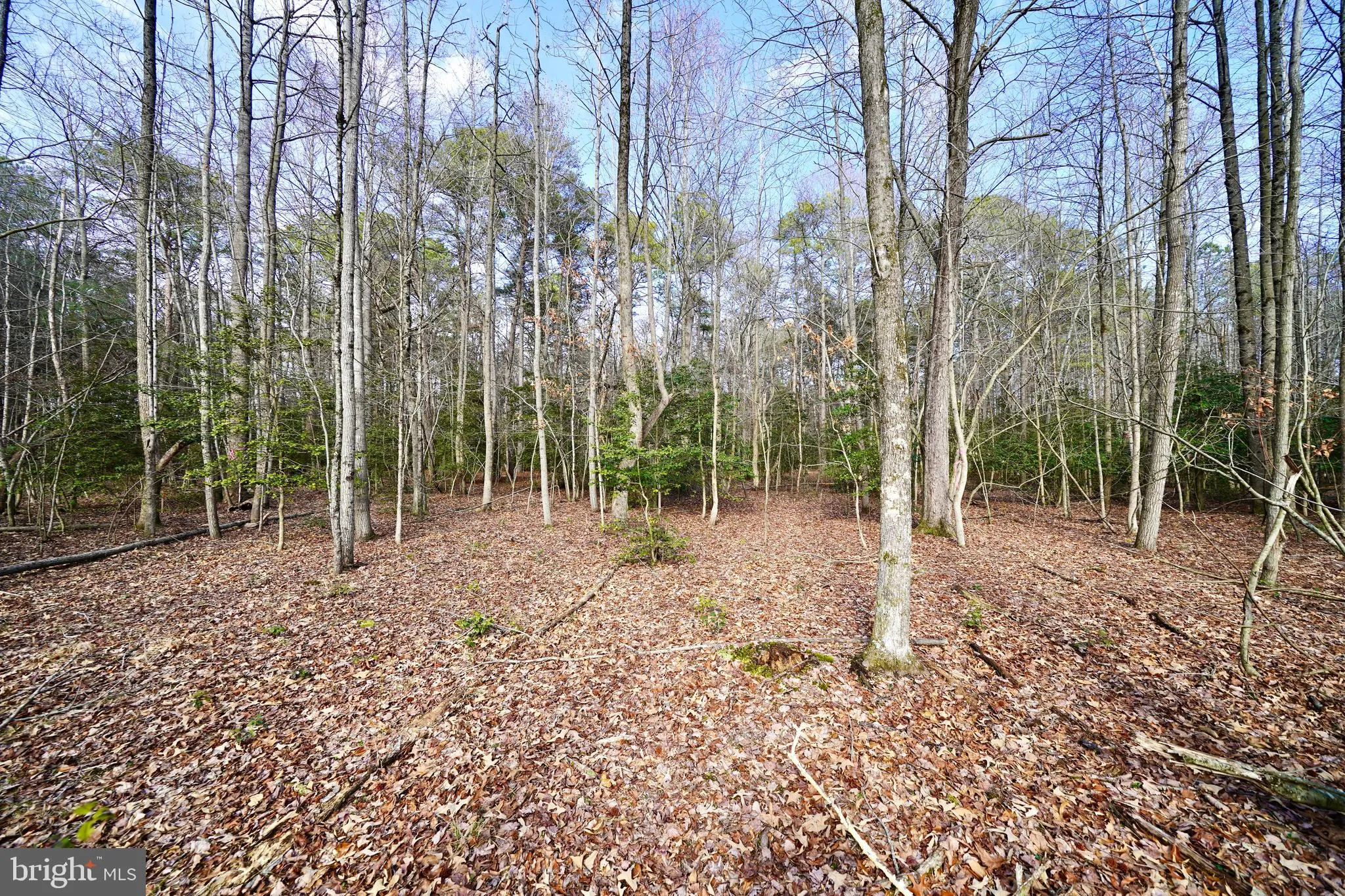 Additional image 17 of Lot 1 Megan Joy Road, Lincoln, DE 19960