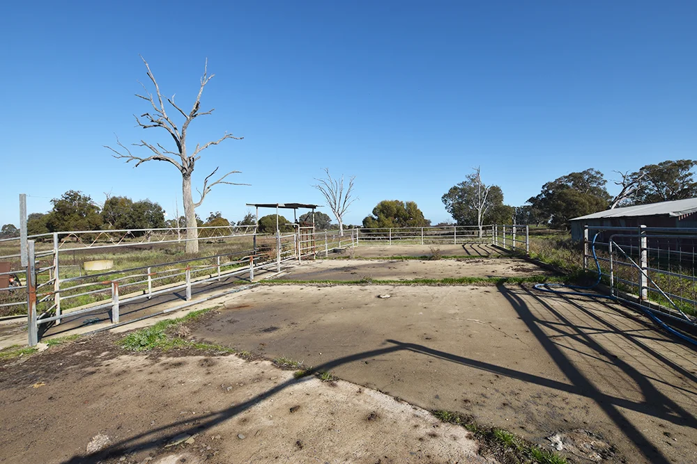 Additional image 13 of 2418 Henderson Road, Girgarre VIC 3624