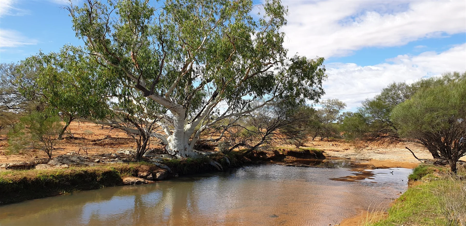 Additional image 27 of Yoothapina Station, Meekatharra WA 6642
