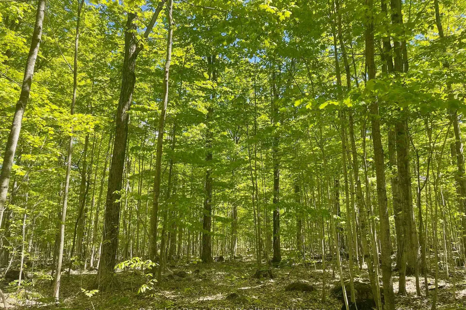 Additional image 18 of N/A Sunny Valley Road