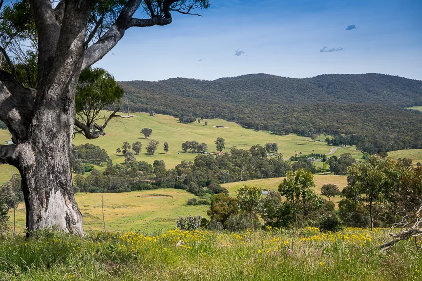 Additional image 2 of Lots 4 & 8 Tatong-Tolmie Rd, Tatong VIC 3673