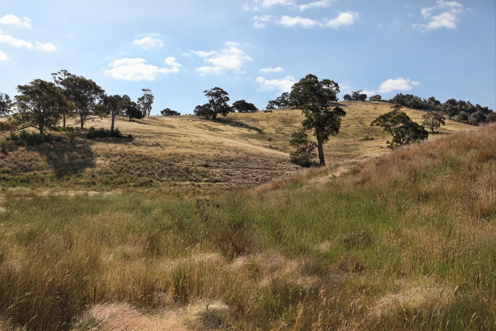 Additional image 27 of 490 Settlement Road, Sunbury VIC 3429