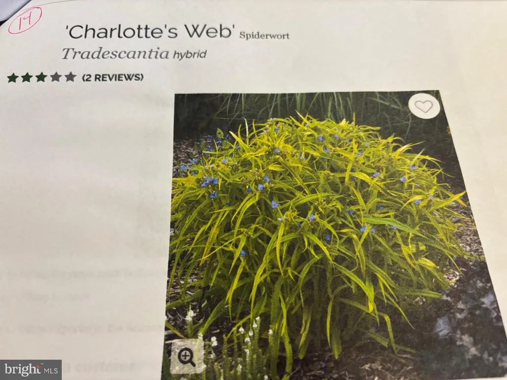 Additional image 61 of 6 Bradley Circle, Middletown, DE 19709