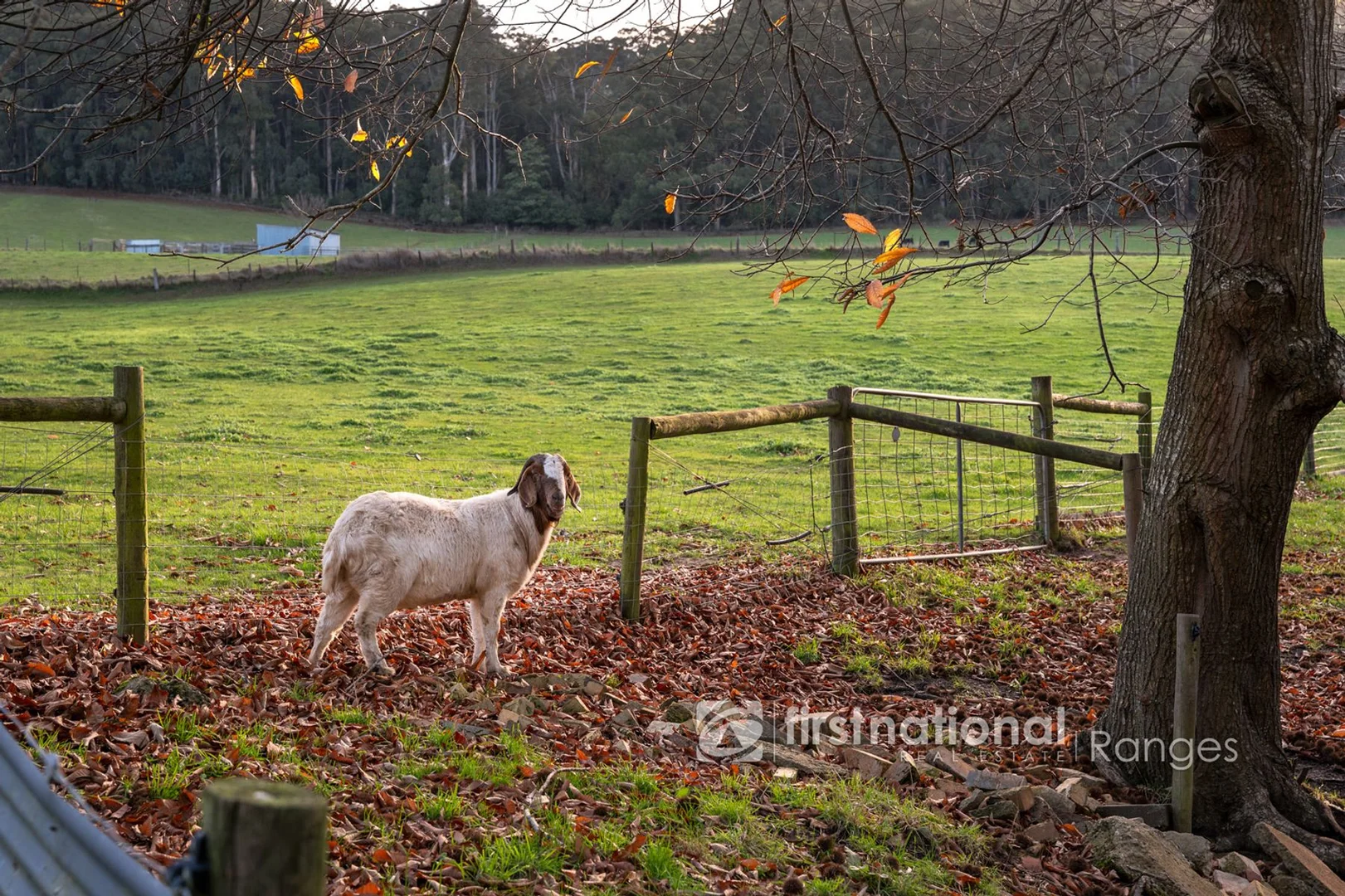 Additional image 20 of 1475 Pakenham Road, Mount Burnett VIC 3781