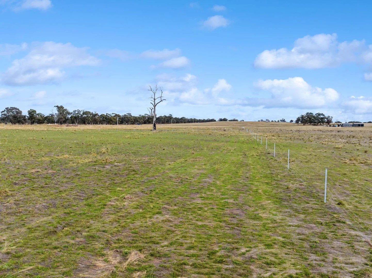 311 Pethericks Road, Goornong VIC 3557