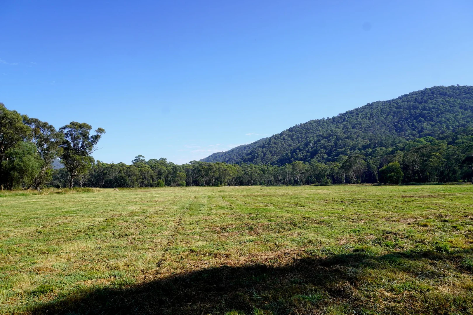 Additional image 10 of Smoko VIC 3741