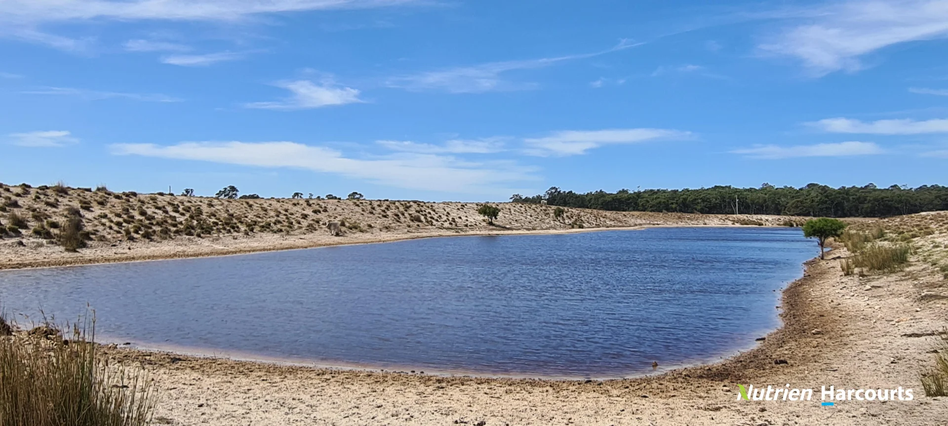 Additional image 26 of 267 Spencer Road, Narrikup WA 6326