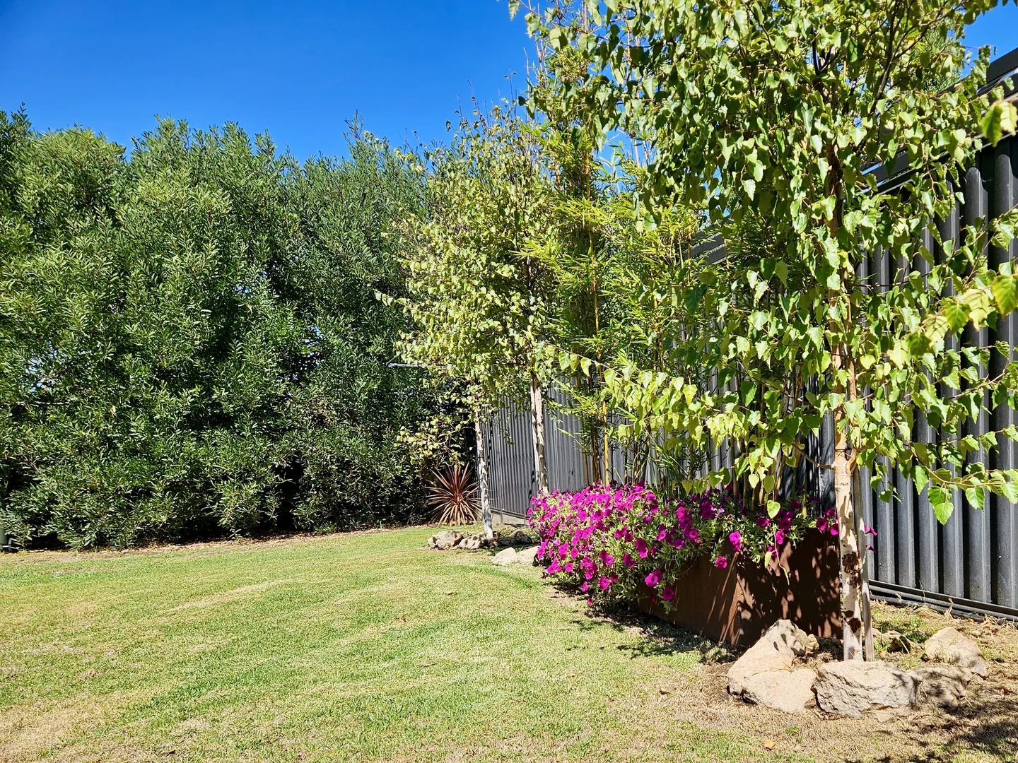 Additional image 25 of 1 Arthur Street, Beachport SA 5280