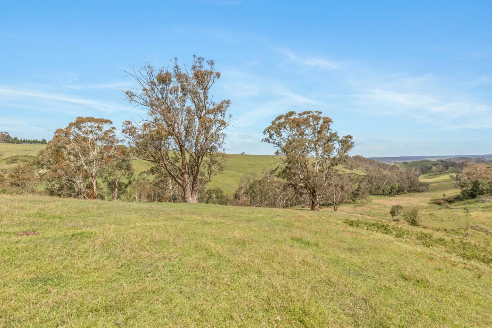 Additional image 5 of Lot 103 Old Bathurst Road, South Bowenfels NSW 2790