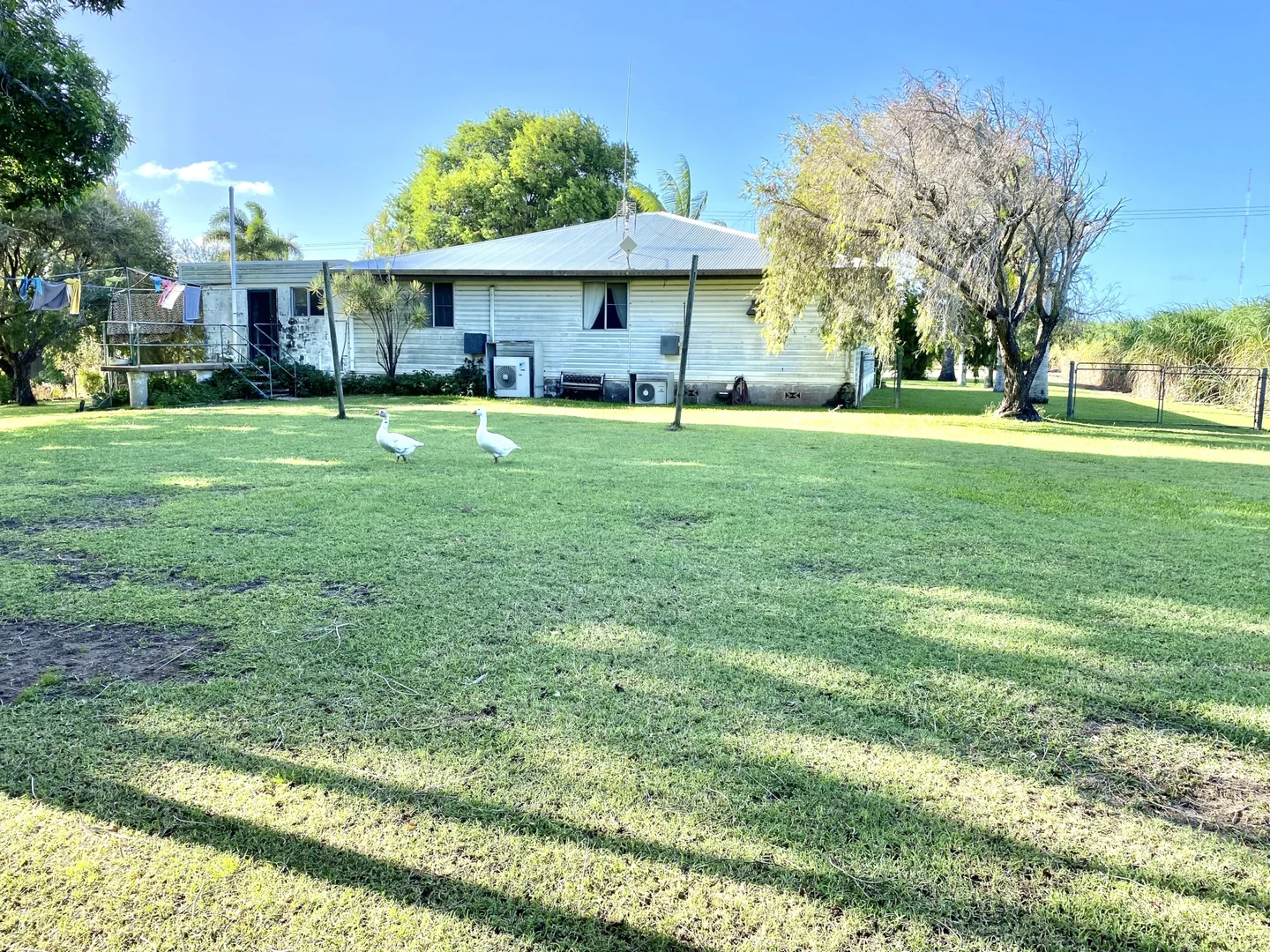 Additional image 22 of 67 Hillier Road, Brandon QLD 4808