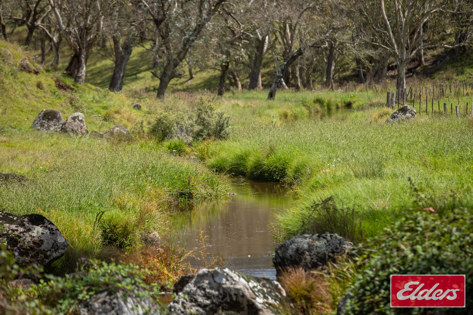 Additional image 24 of 72 Guyra Road, Ebor NSW 2453