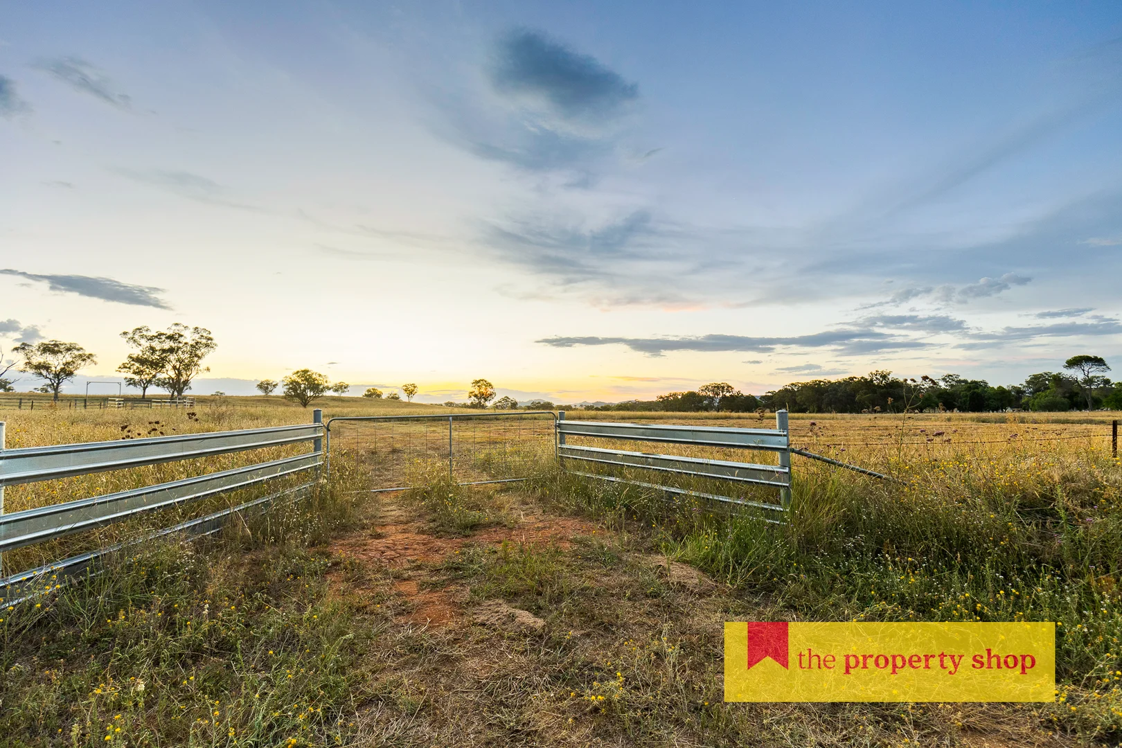 Additional image 6 of 705 Springfield Lane, Gulgong NSW 2852