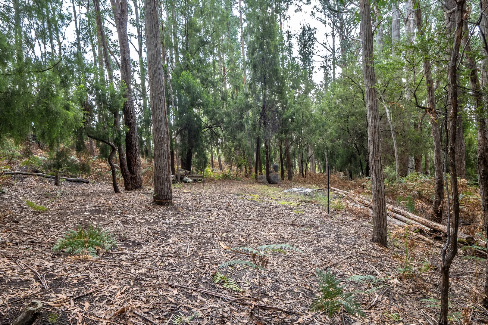 Additional image 9 of Channel Highway, Flowerpot TAS 7163