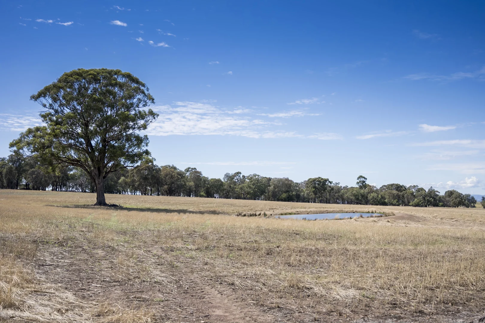 Additional image 4 of 646 Old Thoona Road, Goorambat VIC 3725