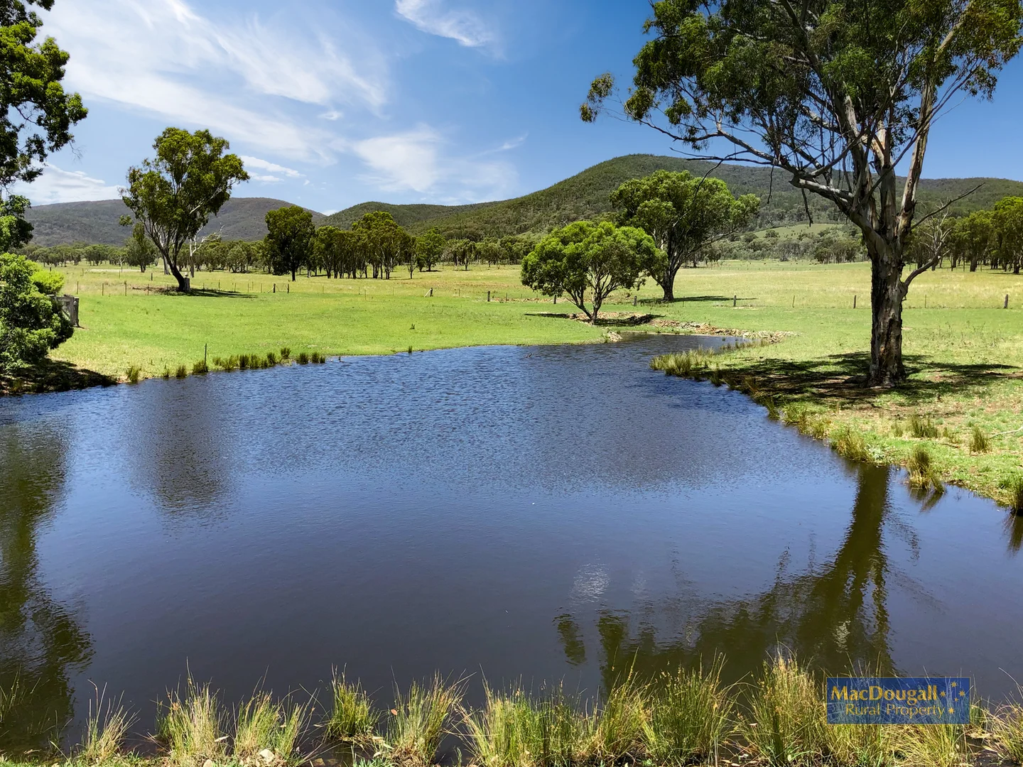 Additional image 4 of 384 Dry Creek Road, Georges Creek NSW 2365