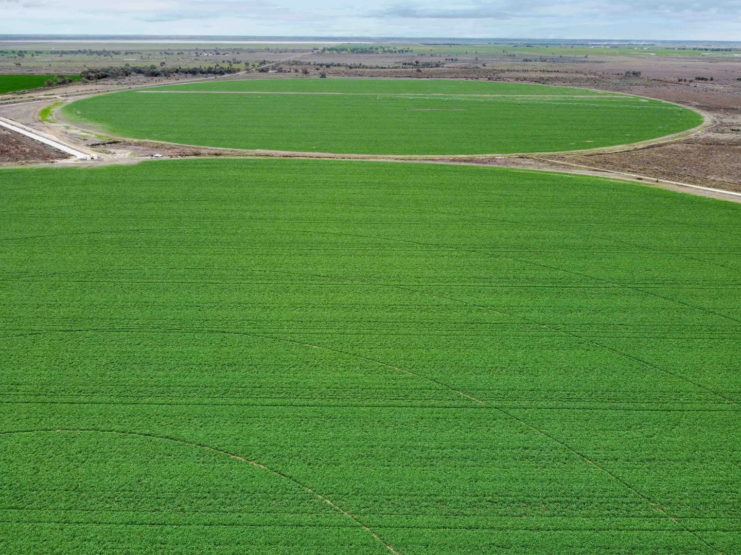 Additional image 4 of Winlaton VIC 3585