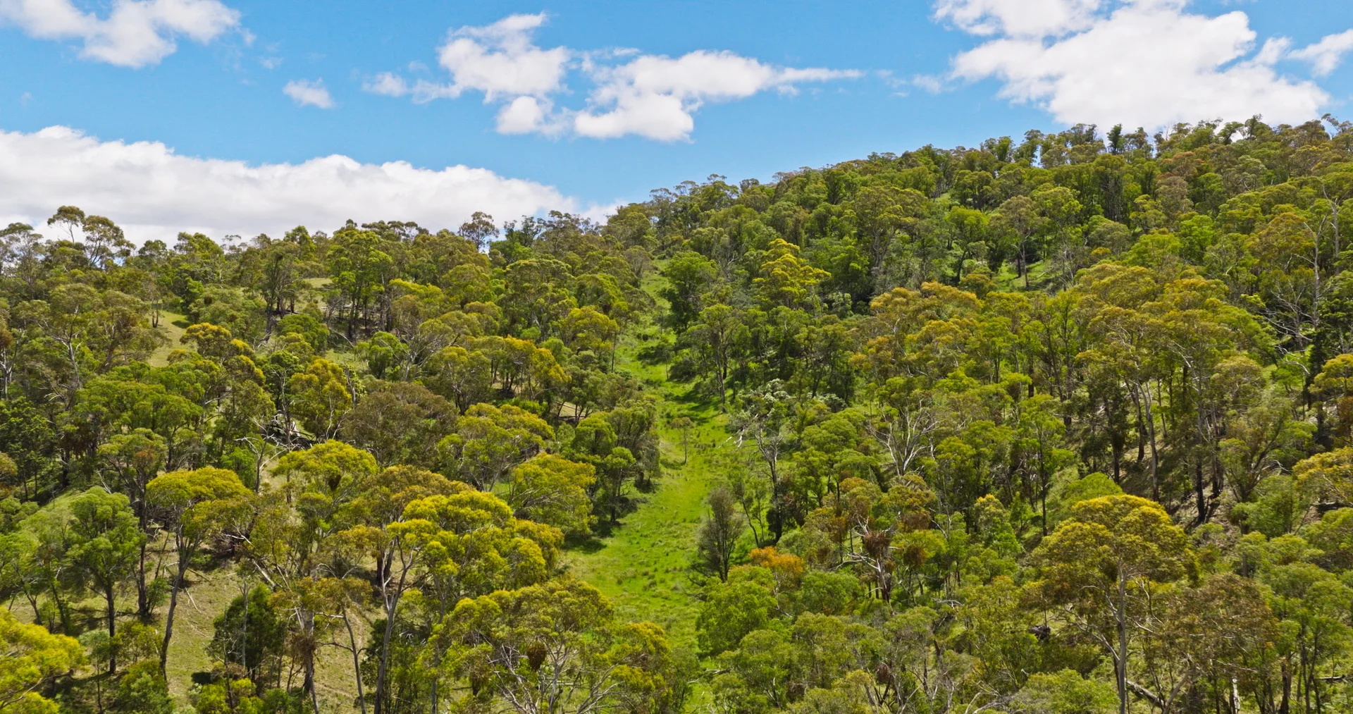 Additional image 16 of Lot 2 - 289 Tongio Gap Road, Tongio VIC 3896