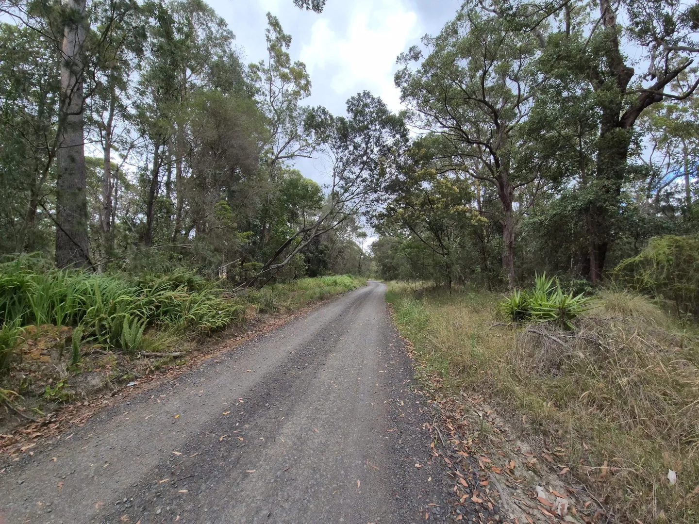 Additional image 3 of 555 Atherton Street, Basin View NSW 2540