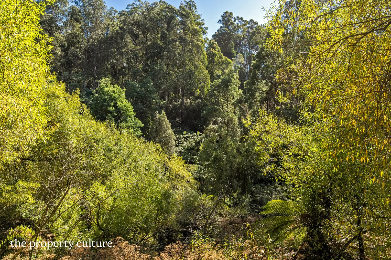 Additional image 23 of 126 New Road, Franklin TAS 7113