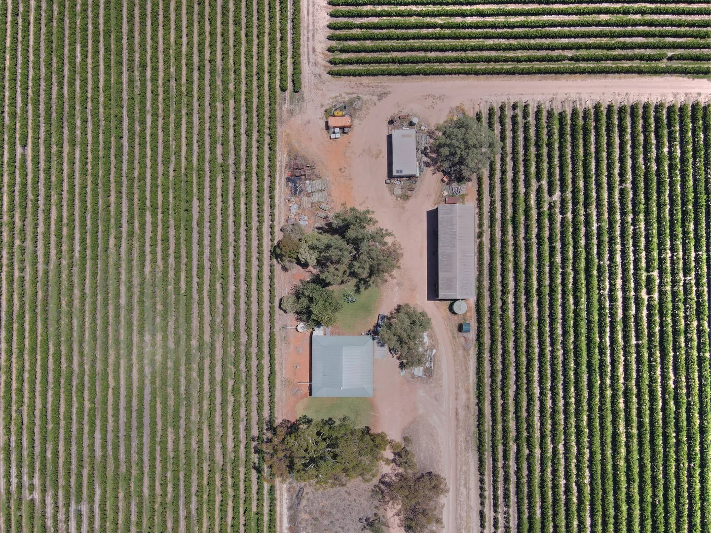 Additional image 3 of 32 Plushsbend Road, Renmark SA 5341