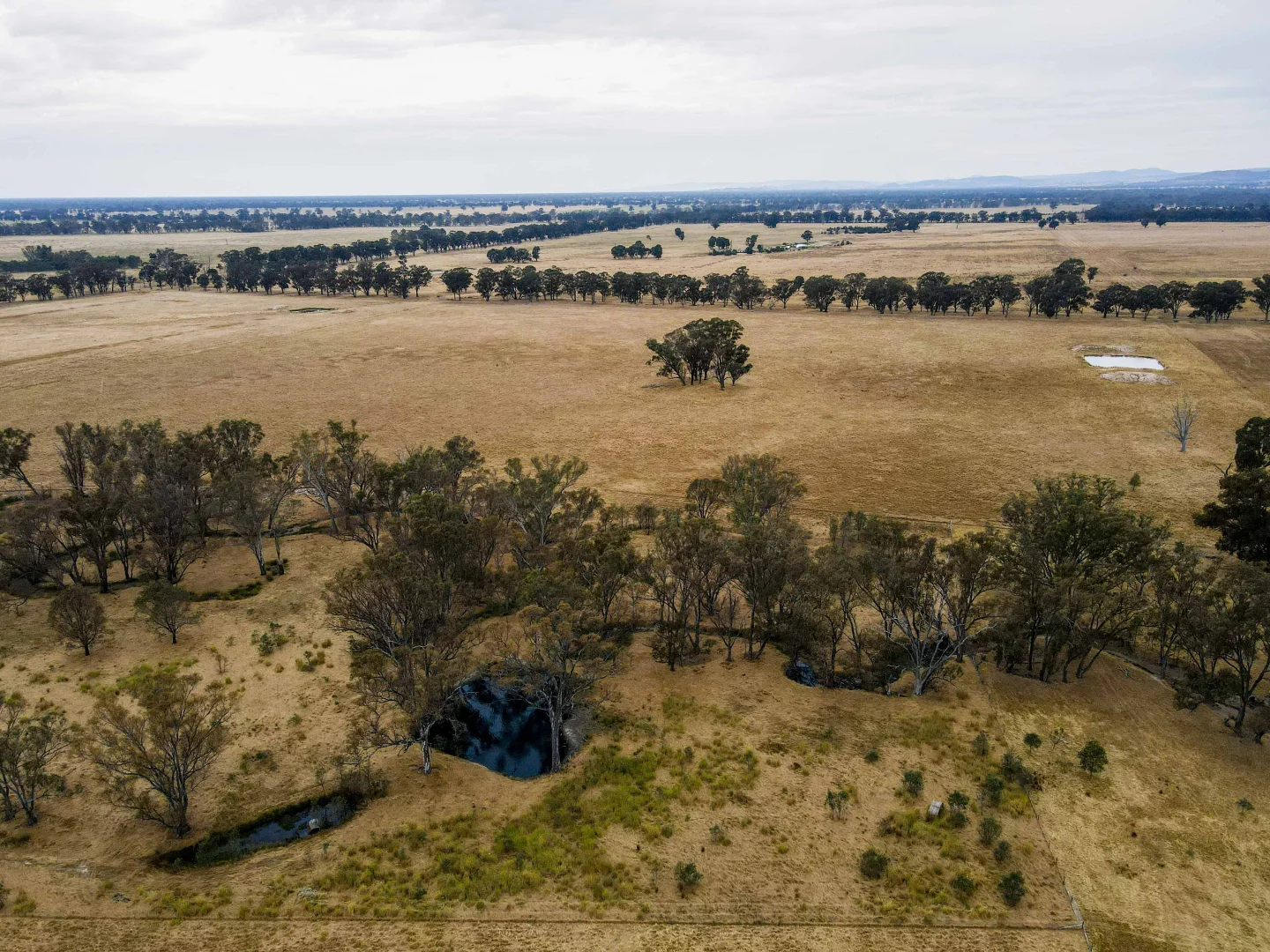 Additional image 22 of 2253 Dargalong Road, Nagambie VIC 3608