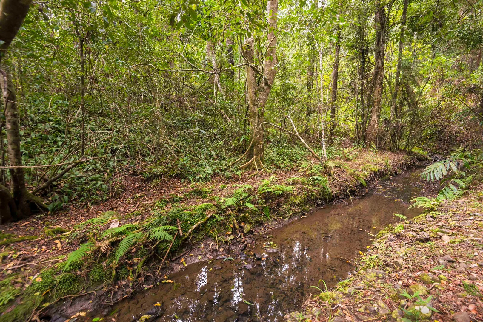 Additional image 28 of 252 Warby Road, Jiggi NSW 2480