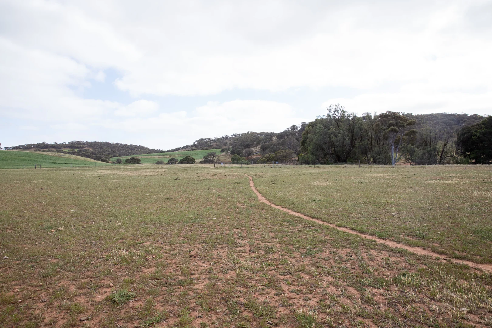 Additional image 19 of Lots 99 & Bawdens Road, Lipson SA 5607