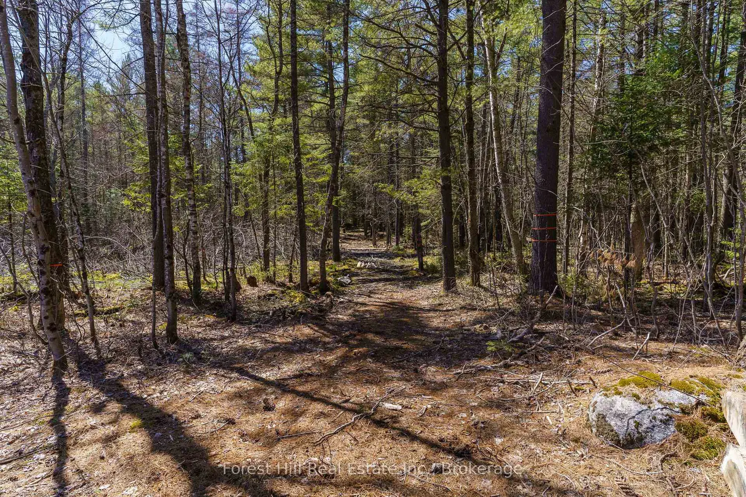 Additional image 8 of Lt32c9 Concession Line Concession